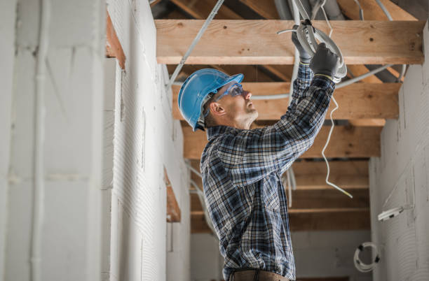 Best Electrical System Inspection  in Leadwood, MO