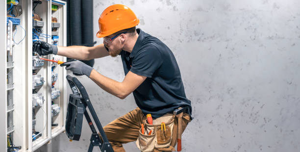 Best Electric Panel Repair  in Leadwood, MO